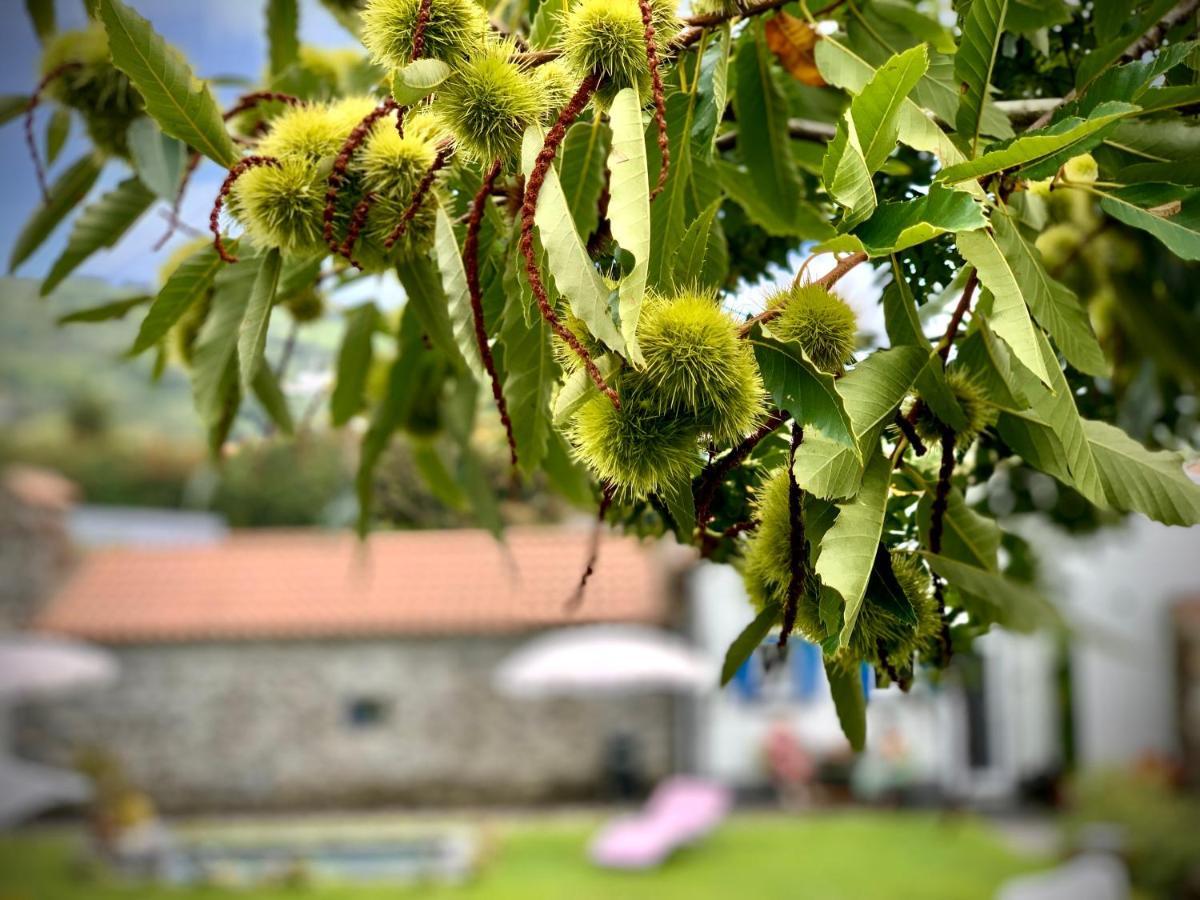 Casa Do Acor - Villaverde Azores Feteiras Zewnętrze zdjęcie