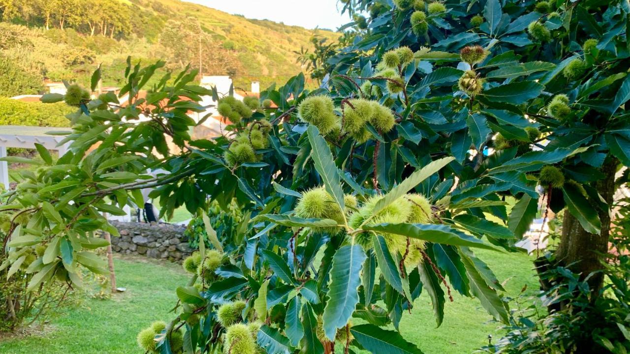 Casa Do Acor - Villaverde Azores Feteiras Zewnętrze zdjęcie